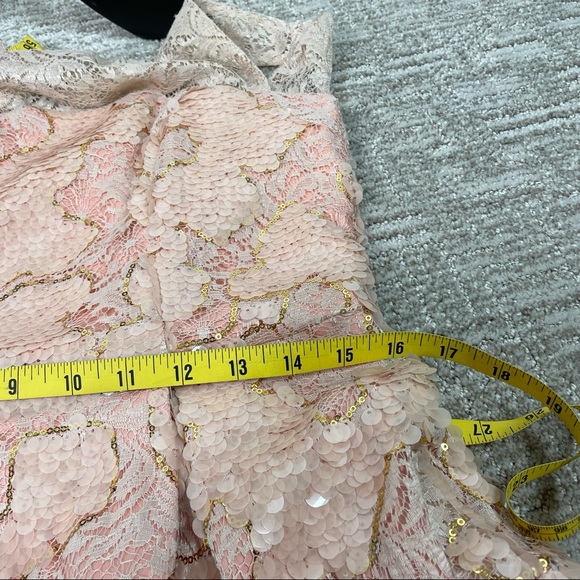 Anthropologie Eva Franco  Blush Gold Sequin Lace Fit and Flare Dress 8 - Picture 14 of 14